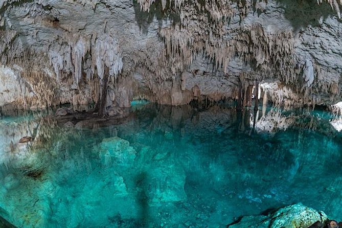 Private Snorkeling Tour in 2 Cenotes With Mayan Lunch - Overview and Inclusions