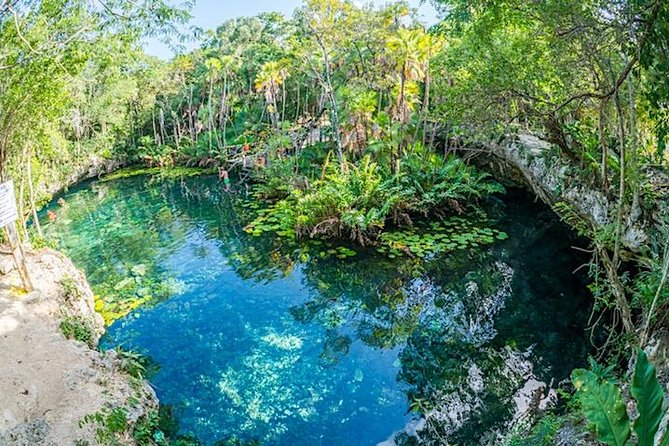Private Snorkeling Tour in 2 Cenotes With Mayan Lunch - Reviews
