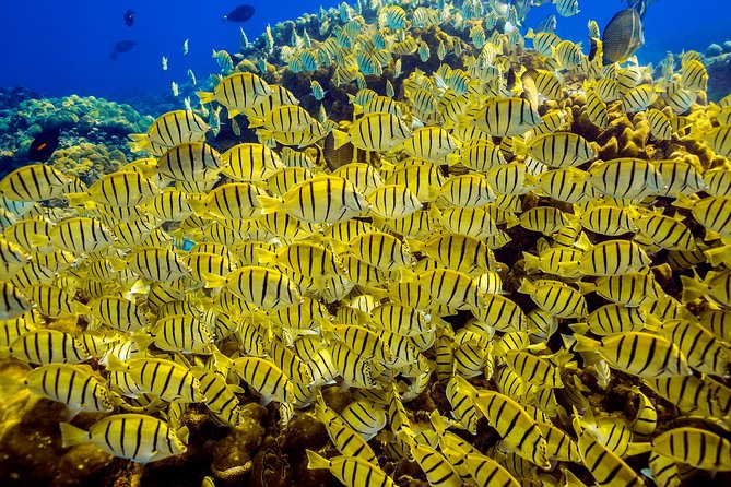 Private Snorkeling Tour in Cabo San Lucas - Directions