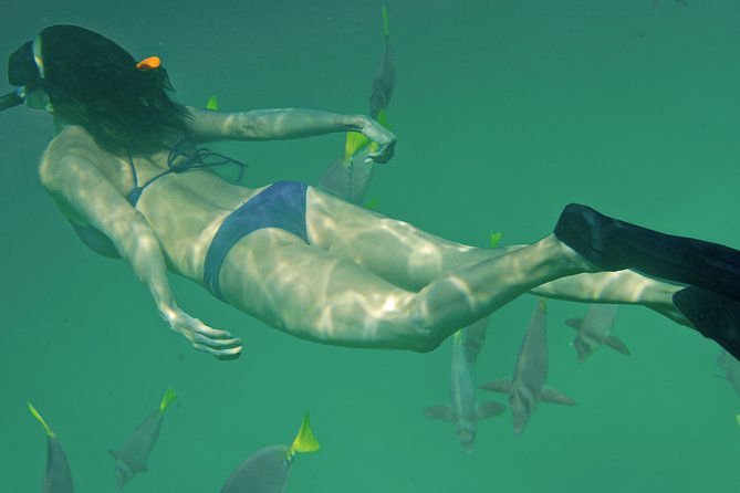 Private Snorkeling Tour in Cabo San Lucas - Common Questions