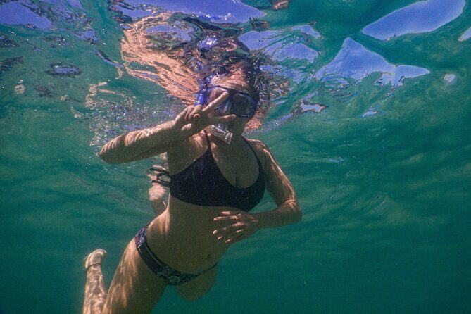 Private Snorkeling Tour In Sydney's Marine Reserve - An Honest Look at the Experience