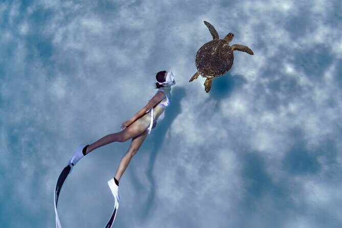 Private snorkeling tour Ishigaki island - Exploring the Private Snorkeling Tour on Ishigaki Island