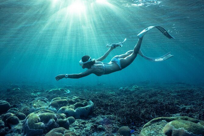 Private snorkeling tour Ishigaki island - Final Thoughts