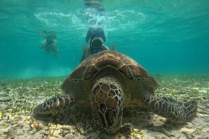 Private Snorkeling Tour of Gili Islands in Air Meno and Trawangan - FAQ