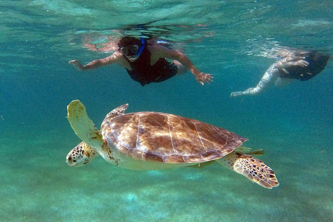 Private Snorkeling Tour to Akumal Bay and Yal-Kú Cenote - Playa Del Carmen - Directions