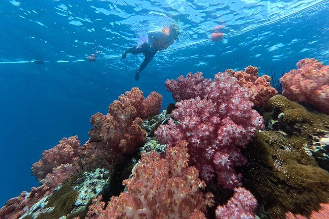 Private Snorkeling Trip Route A by Long Tail Boat - Discover the Charm of the Private Snorkeling Trip Route A by Long Tail Boat