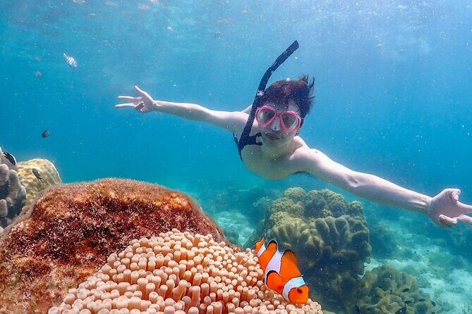 Private Snorkeling Trip to Samaesan Island from Pattaya - What to Expect from Your Samaesan Island Snorkeling Adventure