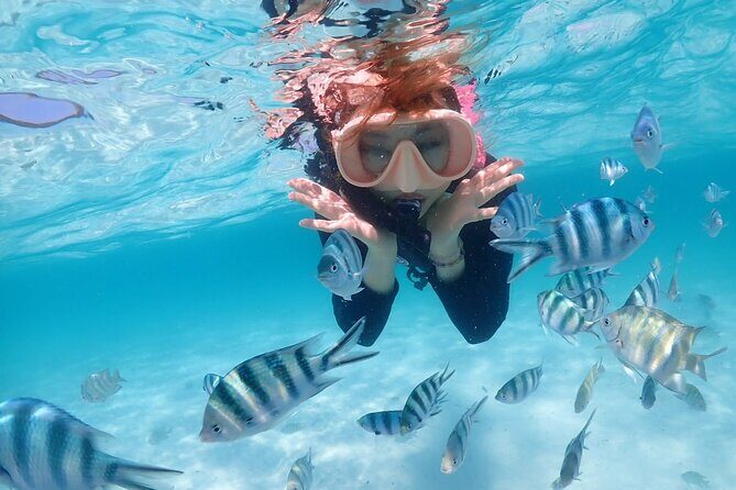 Private Snorkeling Trip to Samaesan Island from Pattaya - Why Choose This Tour?