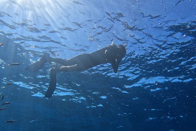 Private Snorkeling With a Professional Instructor - Customized Experience for Your Group