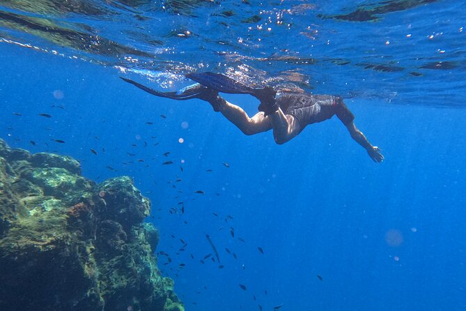 Private Snorkeling With a Professional Instructor - Cancellation Policy and Refund Options