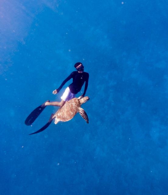 Private Snorkeling With Turtle and Romantice Statue - Experience Highlights