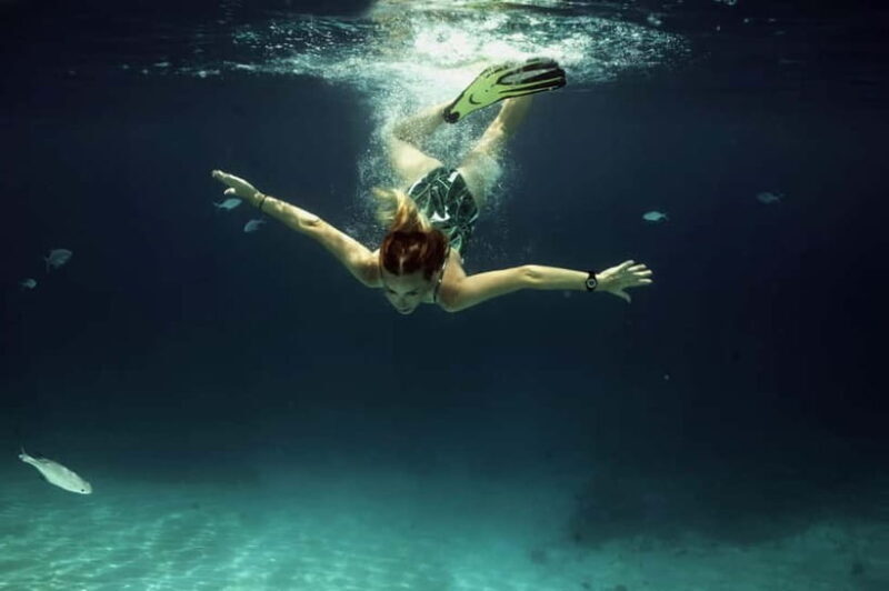 Private Snorkeling with Turtles in the Maldives - Good To Know