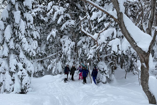 Private Snow Shoe Tour in Shiretoko National Park - Cancellation and Changes