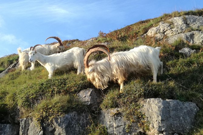 Private Snowdonia's Mountains, Lakes & Mines Tour - Additional Info