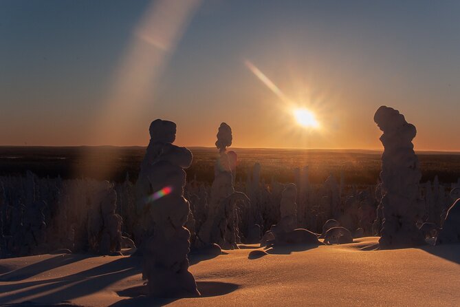 Private Snowshoe or Ski Adventure in Lapland - Good To Know