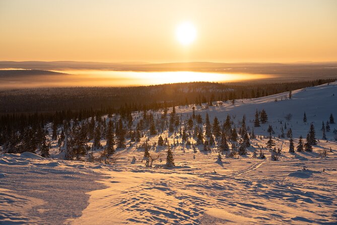 Private Snowshoe or Ski Adventure in Lapland - Booking Information