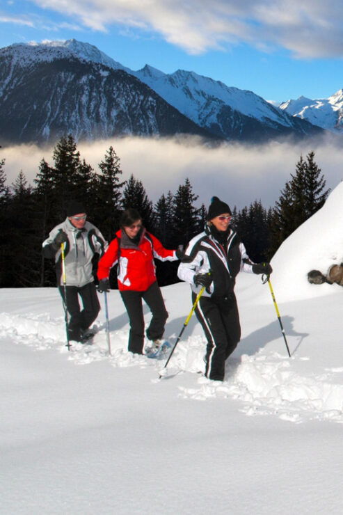Private Snowshoeing Full Day - Key Points