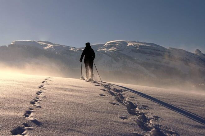 Private Snowshoeing Full Day - Whats Not Included