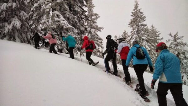 Private Snowshoeing Full Day - Safety and Comfort Tips
