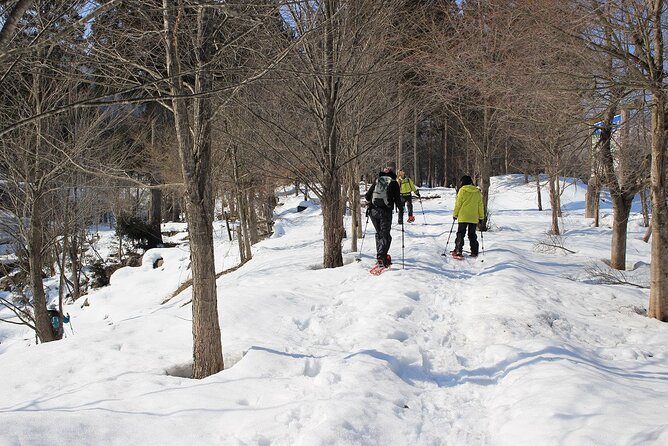 Private Snowshoeing Tour in Hida - Tour Duration and Availability