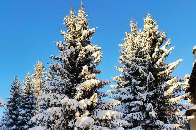 Private Snowshoeing Vitosha for 1 Day - Tour Overview