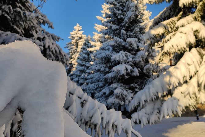 Private Snowshoeing Vitosha for 1 Day - Inclusions