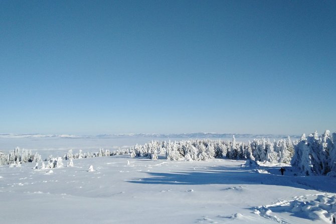 Private Snowshoeing Vitosha for 1 Day - Cancellation Policy