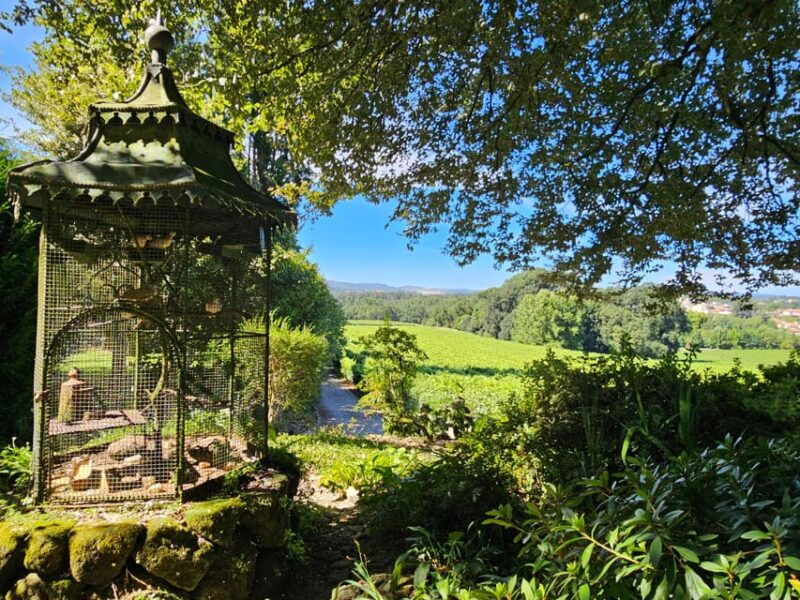 Private Sommelier Tour (Verde e Douro): 3 Wineries and Lunch - Why the Price Reflects Value