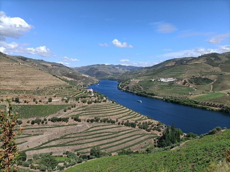 Private Sommelier Tour (Verde e Douro): 3 Wineries and Lunch - FAQ