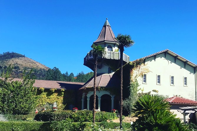 Private Sonoma and Napa Wine Tour From San Francisco - Reviews and Testimonials