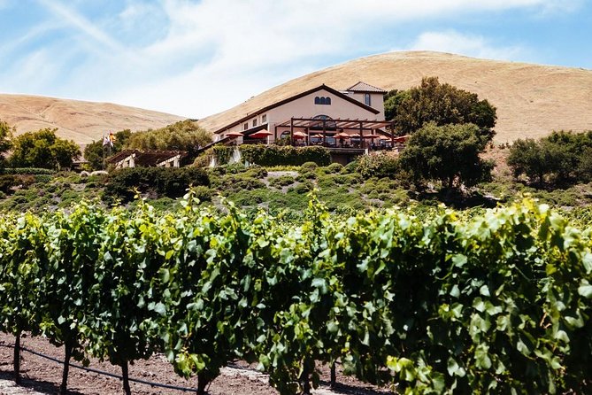 Private Sonoma and Napa Wine Tour Including Custom Concierge - Tour Overview