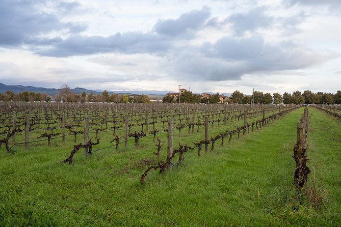 Private Sonoma Coast Cheese, Honey, Oysters and Wine Tour - Overview of the Culinary Experience