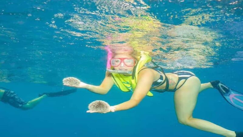 Private: Sosua Bay Snorkeling Tour with Hotel Pickup - Private: Sosua Bay Snorkeling Tour with Hotel Pickup — A Detailed Review