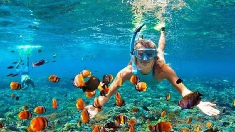 Private: Sosua Bay Snorkeling Tour with Hotel Pickup - Good To Know