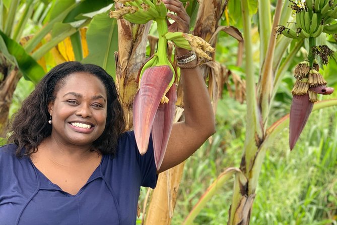Private Soufriere Experience Tour - Refreshing Waterfall Dip