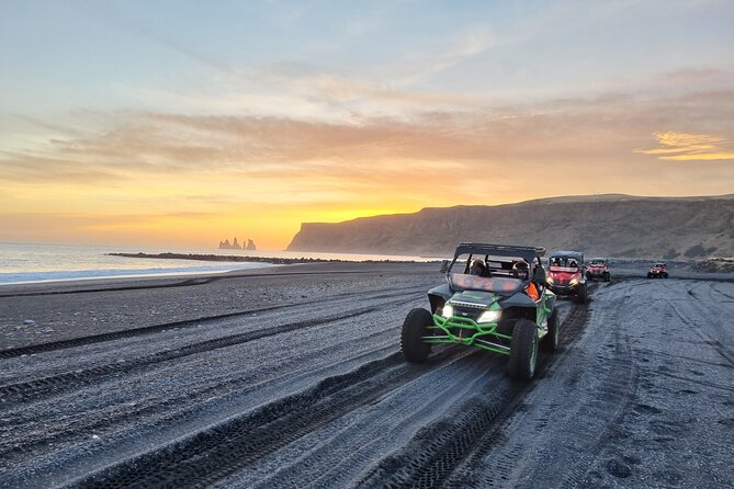 Private South Coast and Black Beach Buggy Tour - Inclusions