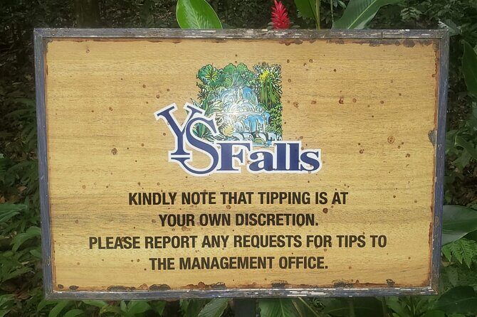 Private South Coast Floyd Pelican Bar & YS Fall fr. Montego Bay - Exploring the Itinerary in Detail