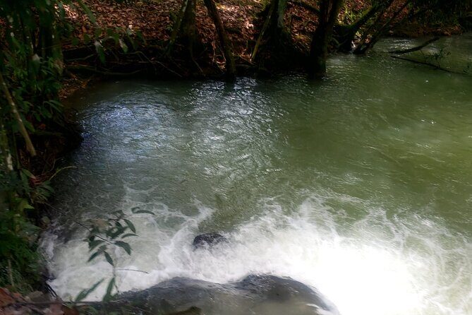 Private South Coast Floyd Pelican Bar & YS Fall fr. Montego Bay - Who Will Love This Tour?