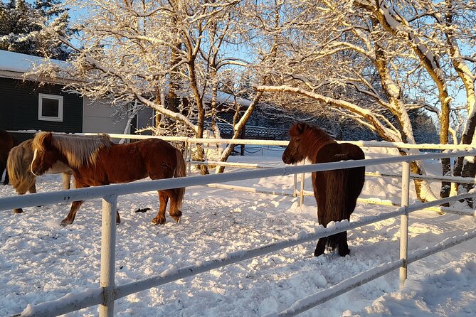 Private South Coast Tour and Private Golden Circle Tour - Copyright and Legal Information