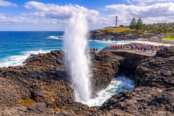 Private South Coast Tour to Sea Cliff Bridge and Kiama Blow hole - Final Thoughts