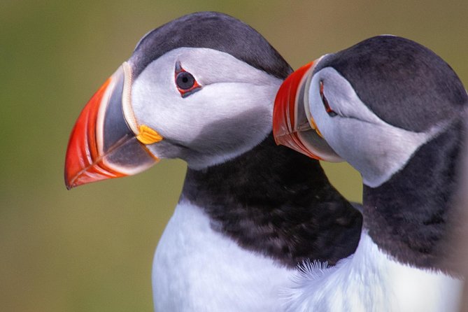 Private South Coast Tour With a Professional Photographer/Guide - Personalized Tour Experience