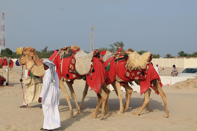 Private South Coast Tour With Camel Ride - Inclusions