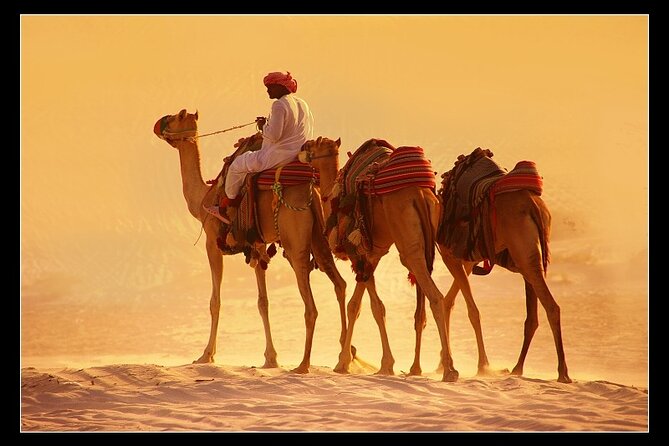 Private South Coast Tour With Camel Ride - Booking Information