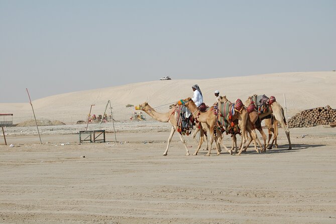 Private South Coast Tour With Camel Ride - Common Questions