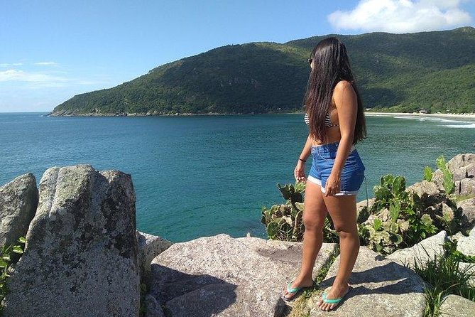 Private South Island Beaches and Lagoons Tour - Traveler Highlights