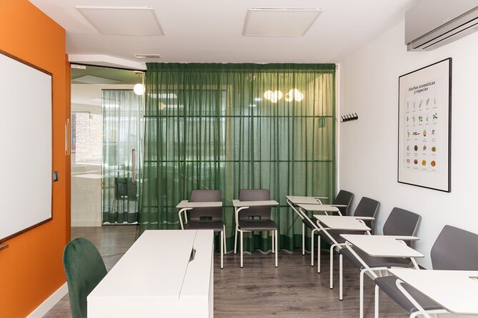 Private Spanish Classes in Madrid - Personalized Learning Experience