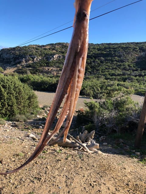 Private Spearfishing Experience in Ravdouha - Good To Know