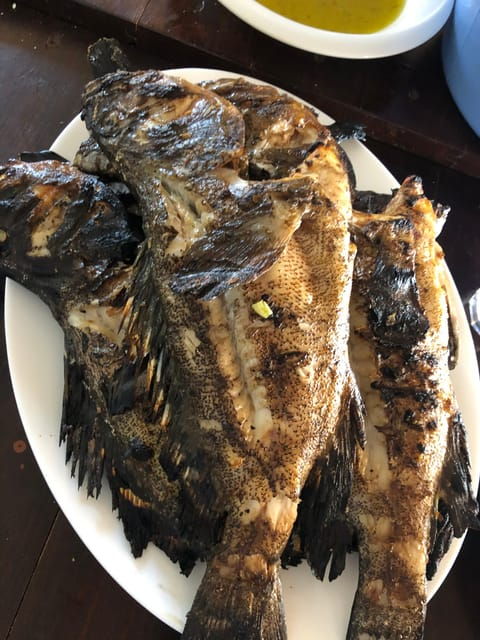 Private Spearfishing Experience in Ravdouha - Itinerary Details