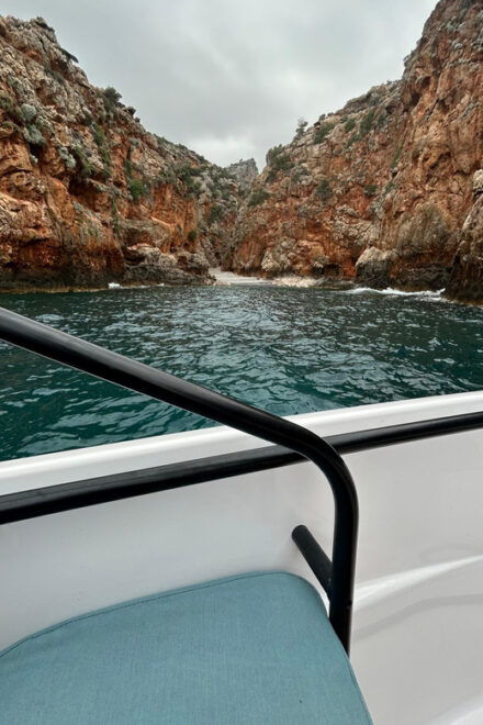 Private Spearfishing Experience in Ravdouha - Inclusions and Exclusions