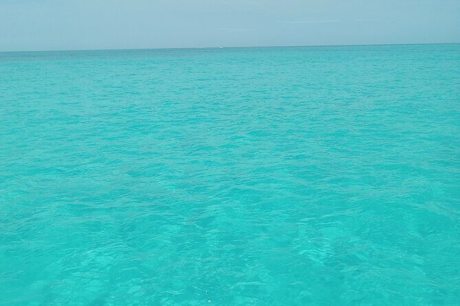 Private speed boat beach and bar hopping visiting Rose island - Good To Know